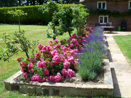 Thatched Cottage Holiday Let / Rental - Stevens Crouch, Battle, East Sussex